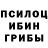 Галлюциногенные грибы GOLDEN TEACHER salihanur kececi