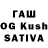 COCAIN Fish Scale Ewa Kaganovich