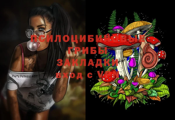 дурь Магас