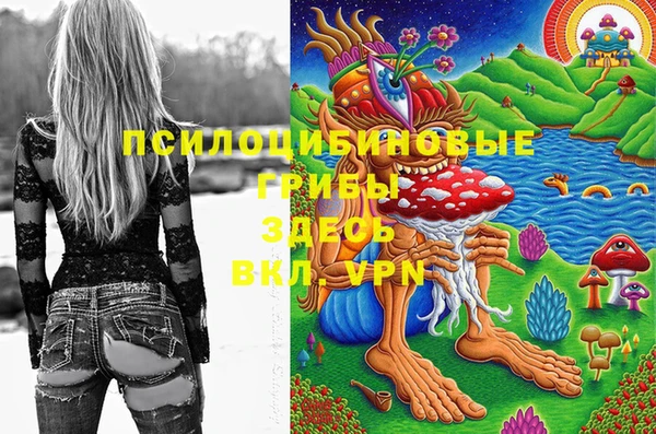 тгк Мегион