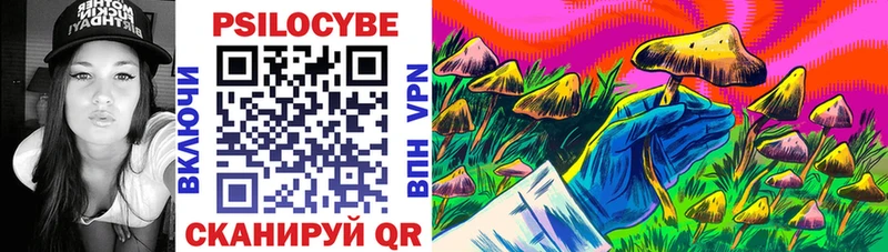 Купить где  Карачаевск  Псилоцибиновые грибы MAGIC MUSHROOMS 