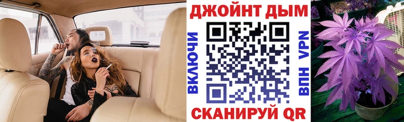 Шишки марихуана MAZAR Купить где Карачаевск
